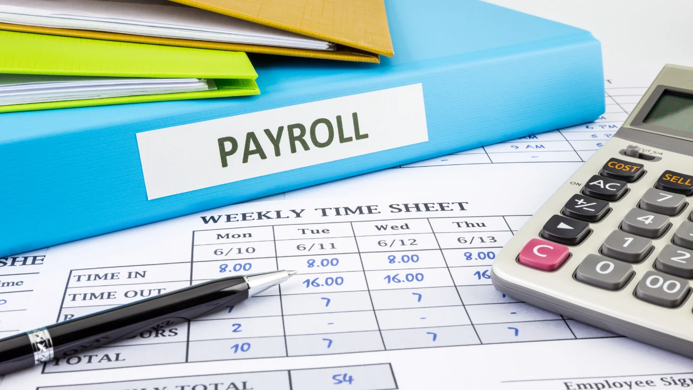 Tailored HR Payroll Services for Businesses